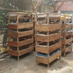 Gambar kolam budidaya cacing tanah