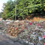 Sampah organik sebagai sumber pakan maggot